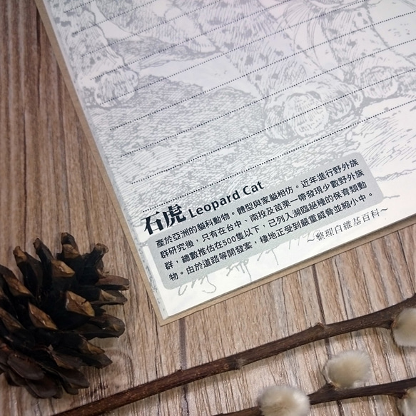台湾黒熊/石虎/フクロウ - 動物の線画イラストのノート（セットに3つ） 8枚目の画像