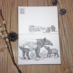 野生動物線條插畫明信片書 第7張的照片