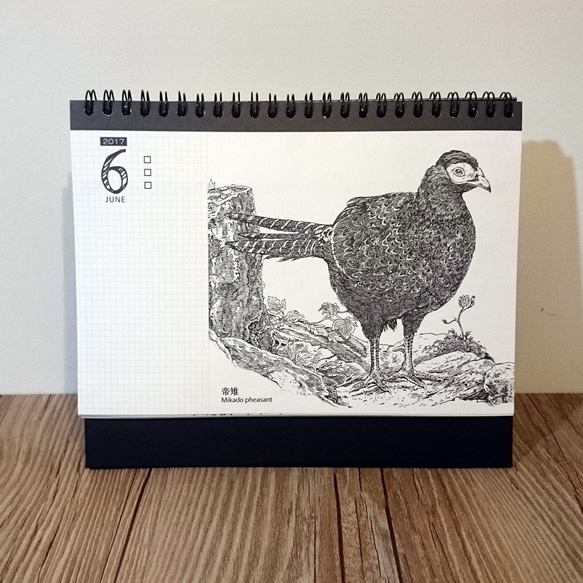2017雞年鳥類插畫桌曆 第5張的照片