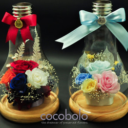 cocobolo flower -YOU LIGHT UP MY LIFE│燈泡家飾花禮 第6張的照片
