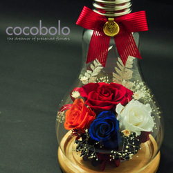 cocobolo flower -YOU LIGHT UP MY LIFE│燈泡家飾花禮 第9張的照片