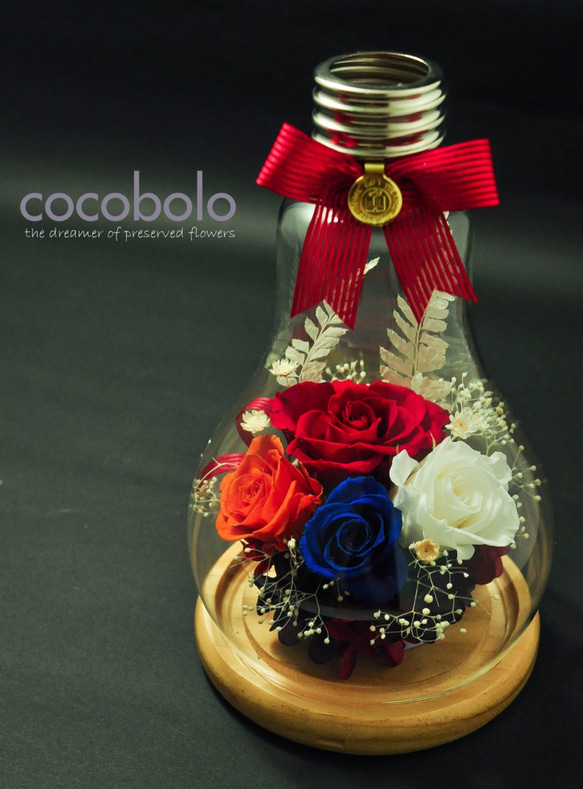 cocobolo flower -YOU LIGHT UP MY LIFE│燈泡家飾花禮 第9張的照片