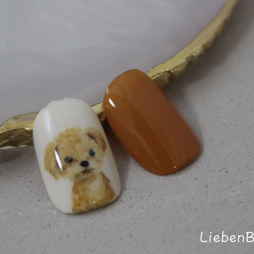 トイプードル＊Li ネイルチップ（つけ爪） LiebenBirne 通販