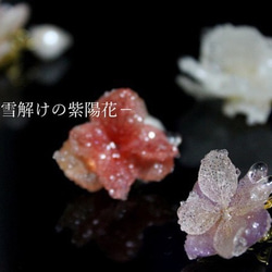 ★再販★雪解けの紫陽花 撫子色　【片耳ピアス】 3枚目の画像