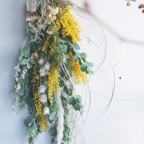 7.ミモザスワッグ ミモザ スワッグ＊ドライフラワー ドライフラワー chainon 通販