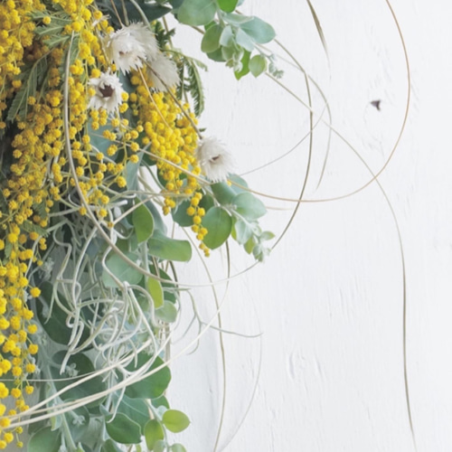 ミモザ スワッグ＊ドライフラワー ドライフラワー chainon 通販