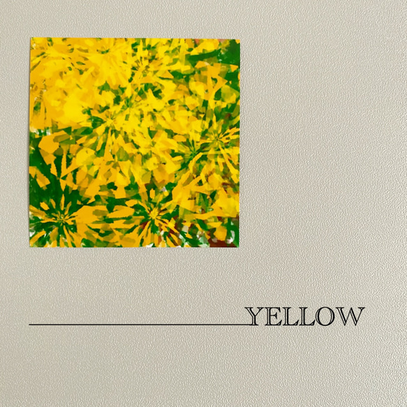 【YELLOW】ロゴ写真 1枚目の画像