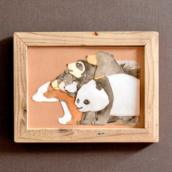 世界のクマ図鑑スライドカードミラー 3枚目の画像