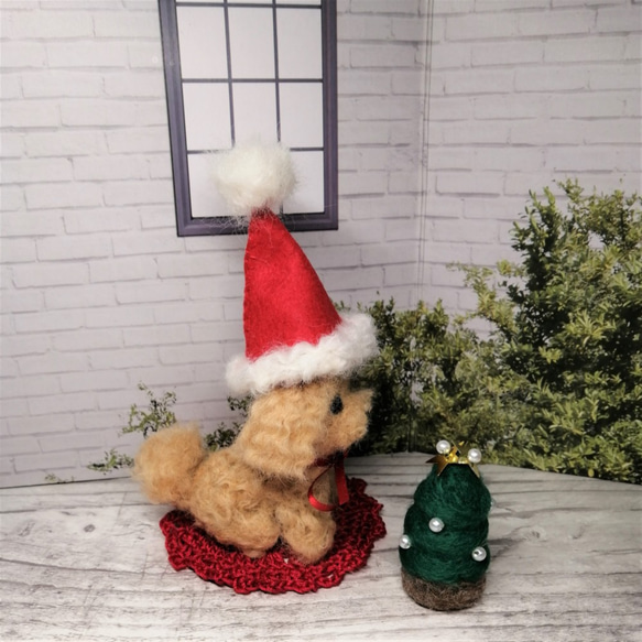 ちびプードルのクリスマス 4枚目の画像