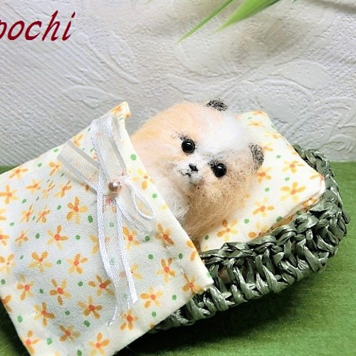 送料無料 眠れるかなポメラニアン(パーティーカラー) 羊毛フェルト