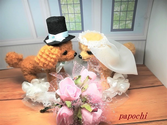 トイプードルのウエディングＬ