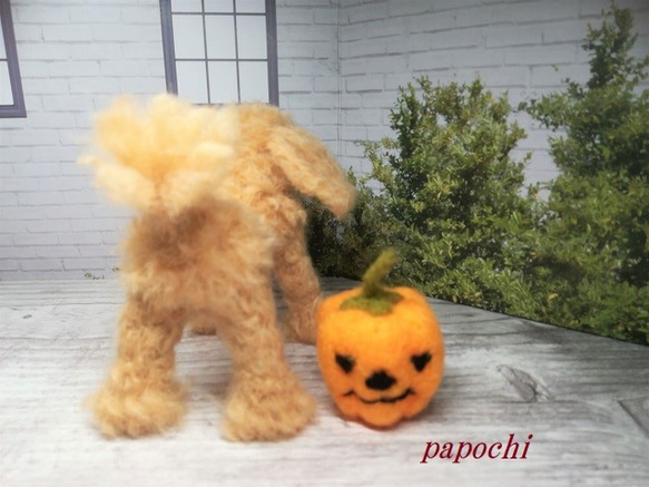 プードルのハロウイン(アプリコット) 4枚目の画像