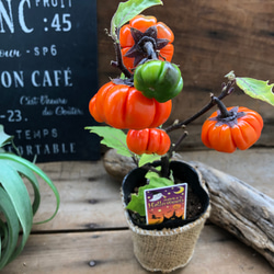 ソラナム パンプキン♡ハロウィンに♡早い者勝ち♡ アートフラワー
