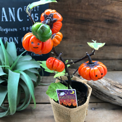 レジン＊パンプキン フラワー ヘアゴム⟡.·*.ハロウィン ✨ハロウィンデザインレジンヘアゴム✨パンプキン➁