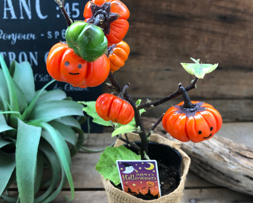 レジン＊パンプキン フラワー ヘアゴム⟡.·*.ハロウィン レジン