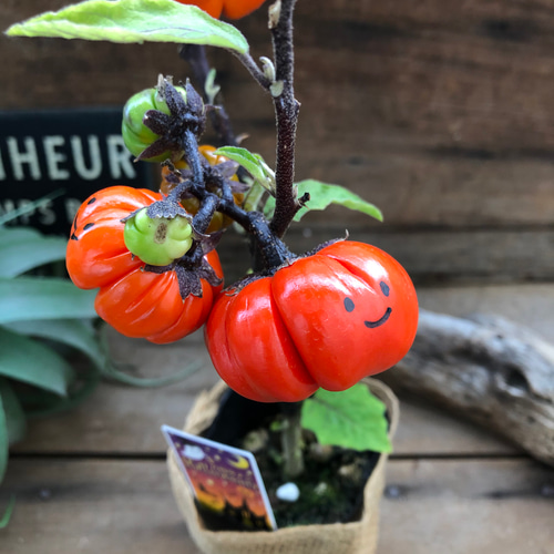 レジン＊パンプキン フラワー ヘアゴム⟡.·*.ハロウィン