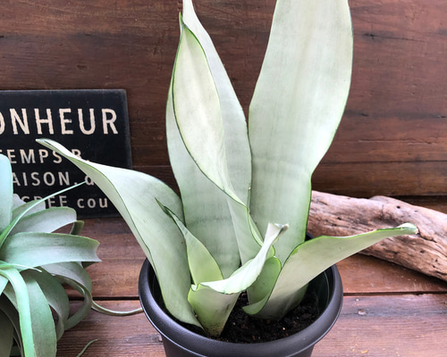 0_8a22fd2bad336fc5efa7a4c2c1be