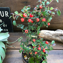 1_306c74875b9a6327969e8d2f2e86