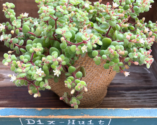 0_9782e894b95ea704574750653764