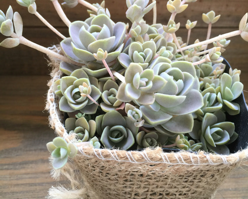 1_3a4bc86b659c6a839d36a056e186