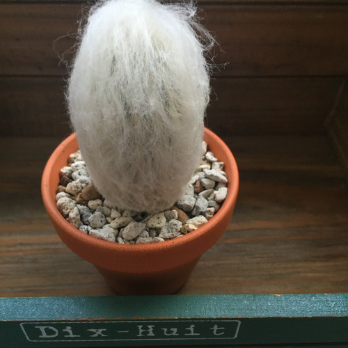 babythree　植木鉢サボテンきのこ　泣いてる目おしゃぶりバブ しゃべる植木鉢に植物を飾ってみた【 Talking flower pot