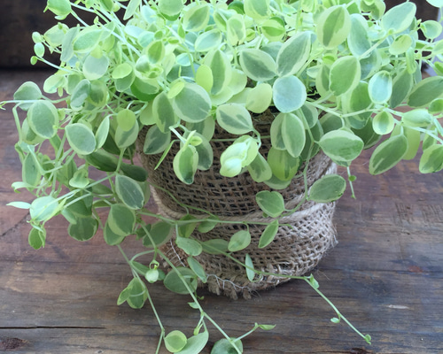 1_2de23843b5df812caa9e9fdfabbc