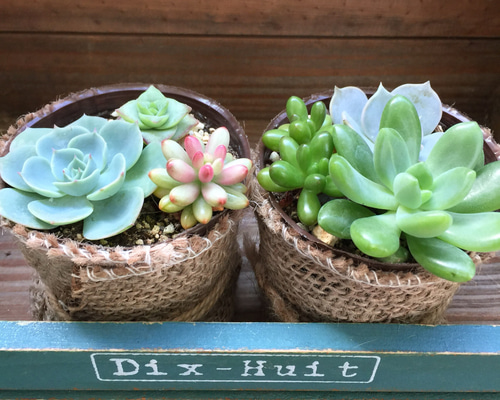 0_cc8ceffbc11c58ffc77a5f6f427e