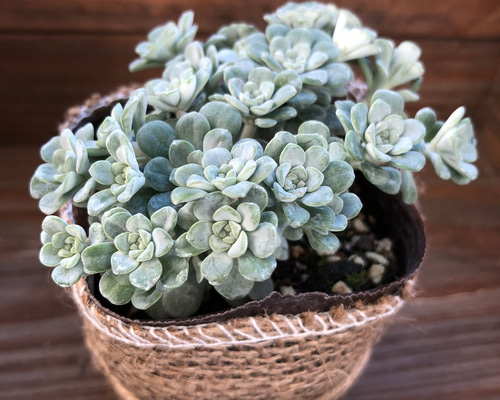 1_b49936cce89a7051e29d24e9b8a8