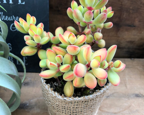 0_a71fae5176d78a79a1a520e7ed03