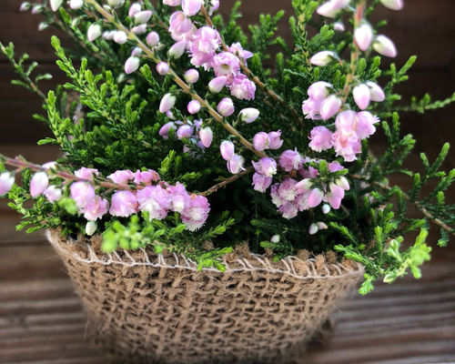 1_627c8d3a3a35db2d0c1586427011