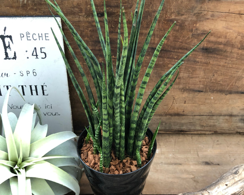 0_1eba783a777e2210b88b7de1ea79