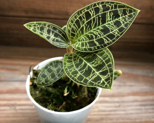 0_bf3b27f7ffc4afaf9727abcde389