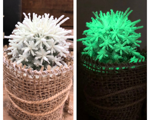 インテリア　幻想的な電飾で光るサボテン50000円→45000円お値下げ DENKO HOME LED ネオン サイン ライト サボテン インテリア 雑貨