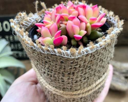 1_0d32e0fcfec1f75c60c355254634