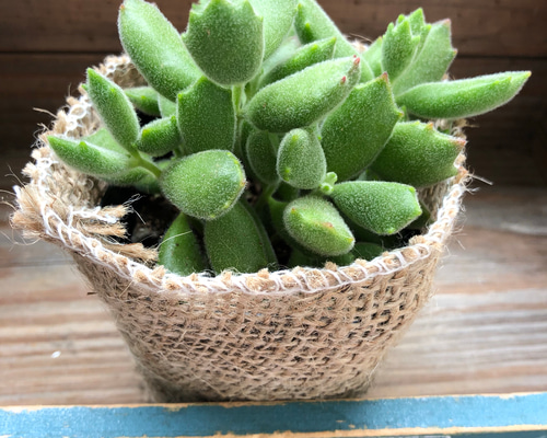 0_afe673f34eb2d9820c581d4703f8