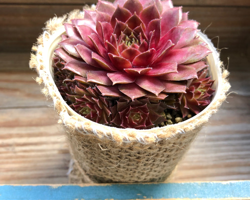 0_62d1b0680c6fa7b675227ef6ab7d