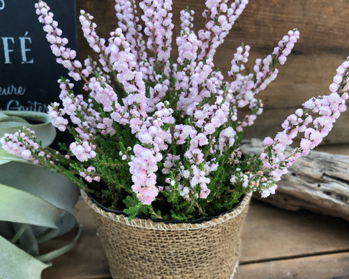 1_f70e28d9da9f845dd10db37effa1