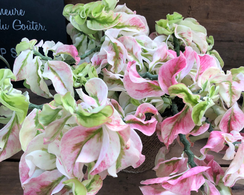 0_ccd1bb74ce347b4f0dfabeebef17