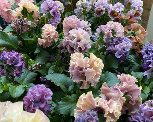 1_2acde0645bdf20e7c8cfb4ebb31a