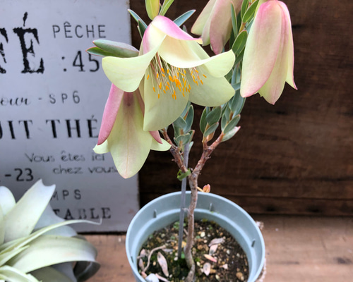 1_85ab2c25ffef8d60d6f684d4e3b9