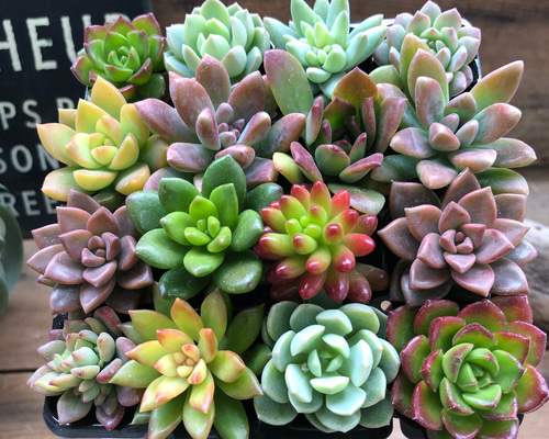 0_23d82020990891fef33007a2cf47