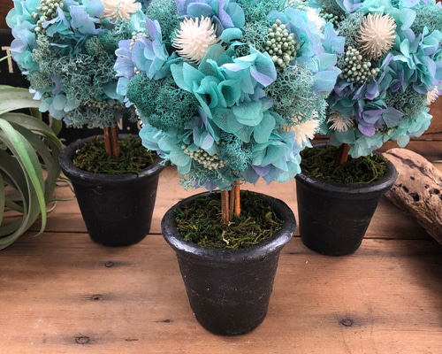 プリザーブドフラワー♡本物♡トピアリー♡インテリア♡ アート