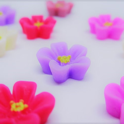 和花のカボション１０個 フラワー　和菓子 2枚目の画像