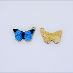 モルフォ蝶のチャーム６個 2枚目の画像