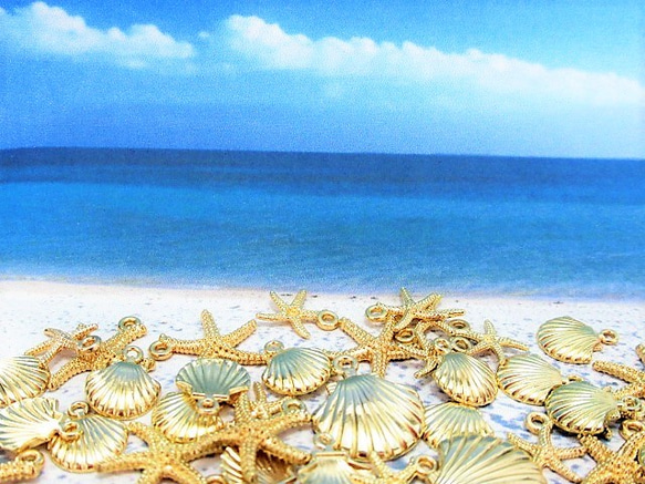 大小40個 貝殻とヒトデのチャーム　マリンチャーム　貝殻チャーム　シェル　スターフィッシュ 1枚目の画像