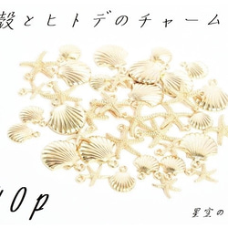大小40個 貝殻とヒトデのチャーム　マリンチャーム　貝殻チャーム　シェル　スターフィッシュ 1枚目の画像
