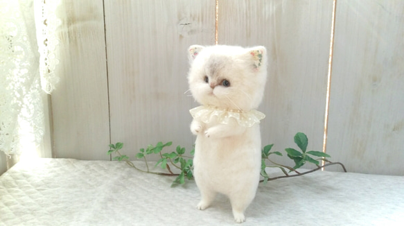 ペルシャ猫ちゃん 羊毛フェルト mignon animal Anne 通販 1711782