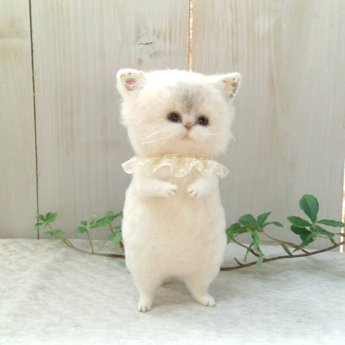 ペルシャ猫ちゃん 羊毛フェルト mignon animal Anne 通販 1711782