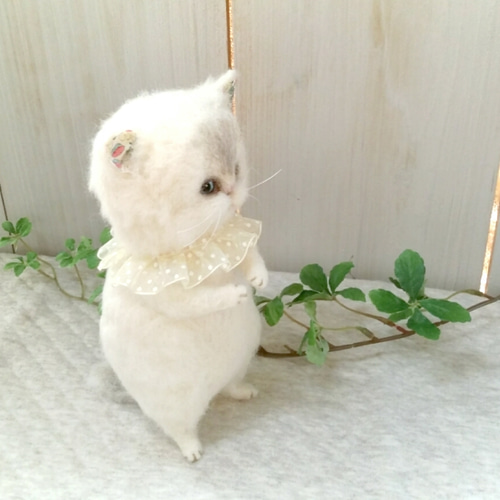 ペルシャ猫ちゃん 羊毛フェルト mignon animal Anne 通販 1711782
