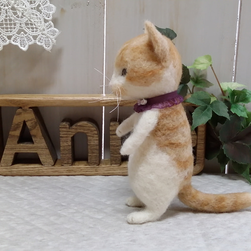 羊毛フェルト　猫(茶トラ/白) コースレッスン】MEBARUが教える！羊毛フェルト講座 -茶トラ白猫